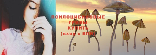 твердый Липки