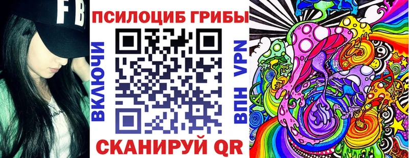 блэк спрут онион дарнет шоп Стерлитамак Галлюциногенные грибы Psilocybe