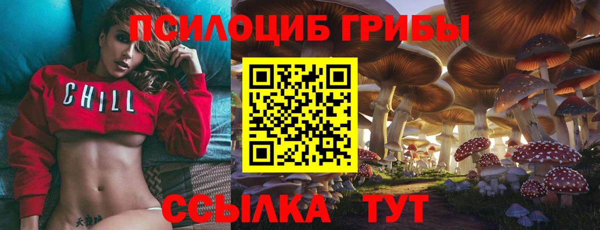 Галлюциногенные грибы Psilocybine cubensis  Галлюциногенные грибы Magic Shrooms  Вход с VPN  цена   Стерлитамак 