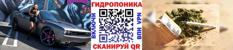 МАРИХУАНА MAZAR  купить закладку  Стерлитамак 